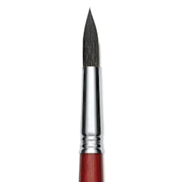 Escoda Aquario Squirrel Hair Brush - Round, Short Handle, Size 16, close-up