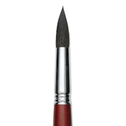 Escoda Aquario Squirrel Hair Brush - Round, Short Handle, Size 18, close-up