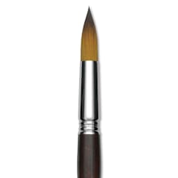 Escoda Prado Tame Synthetic Brush - Round, Short Handle, Size 18, close-up