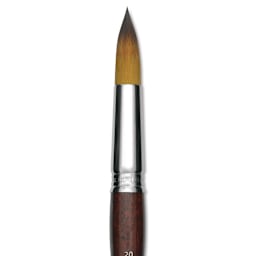 Escoda Prado Tame Synthetic Brush - Round, Short Handle, Size 20, close-up