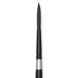 Silver Brush Black Velvet Brush - Script, Size 8 close up