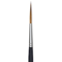 Princeton Aqua Elite Series 4850 Synthetic Brush - Rigger, Size 8, close up