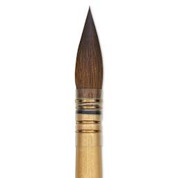  Da Vinci Artissimo Kolinsky Red Sable Brush - Quill, Size 6, close-up