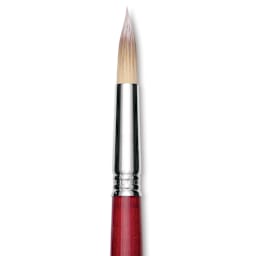 Escoda Opera Takatsu Synthetic Brush - Round, Long Handle, Size 16 close up