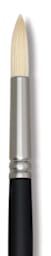 Winsor & Newton Artists' Oil Brushes - Closeup of tip of Round brush