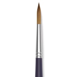 Winsor & Newton Artists' Kolinsky Sable Watercolor Brush - Round, Short Handle, Size 7 close up