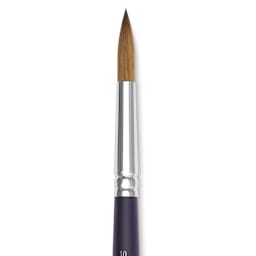 Winsor & Newton Artists' Kolinsky Sable Watercolor Brush - Round, Short Handle, Size 10 close up