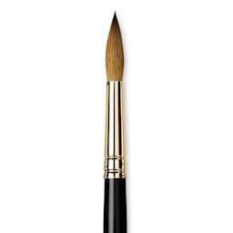 Da Vinci Maestro Kolinsky Brush - Full Belly Round, Short Handle, Size 10 close up