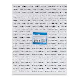 Blick Studio Cotton Canvas Panel - 11" x 14"