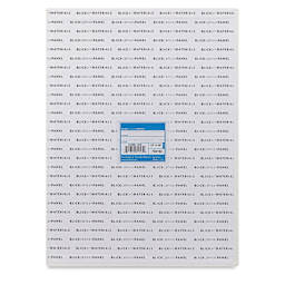 Blick Studio Cotton Canvas Panel - 12" x 16"