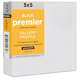 Blick Premier Stretched Cotton Canvas - Gallery Profile, Back-Stapled, 5" x 5"
