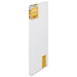 Blick Premier Stretched Cotton Canvas - Gallery Profile, Back-Stapled, 10" x 30"
