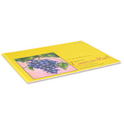 Strathmore 300 Series Cotton Canvas Pad - 18" x 24", 10 Sheets side view