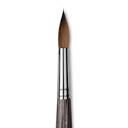 Da Vinci Colineo Synthetic Kolinsky Sable Brush - X Point Round, Size 16, Short Handle, close-up