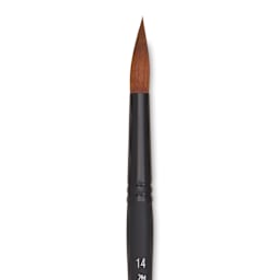 Raphaël Stradivarius Synthetic Kolinsky Sable Brush - Round, Size 14, Short Handle, close-up