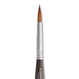 Escoda Chronos Synthetic Blend Travel Brush - Round, Size 8, close-up of the brush