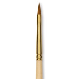 Silver Brush Silver Kolinsky Red Sable Brush - Short Handle, Pointed Filbert, Size 2, close-up