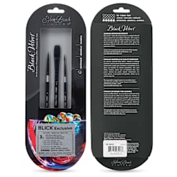 Silver Brush Black Velvet Brushes and Sets
