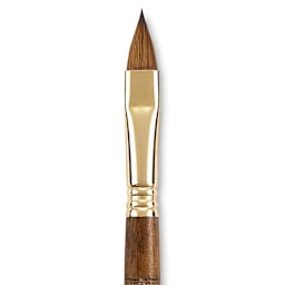 Escoda Reserva Kolinsky-Tajmyr Sable Brush - Filbert, Short Handle, Size 12 (close-up)