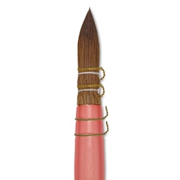 Dynasty Water Lily Watercolor Brush - Short Handle, Quill, Size 6, close-up