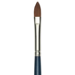 Silver Brush BelleAqua Brush - Cats Tongue, Short Handle, Size 8, close-up
