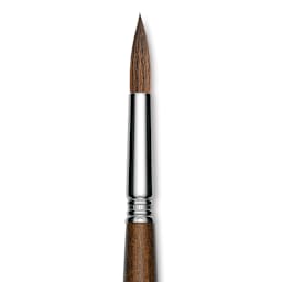 Escoda Versatil Brush - Pointed Round, Size 14, Long Handle close up