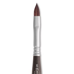 Escoda Versatil Travel Brush - Filbert, Short Handle, Size 8, close-up