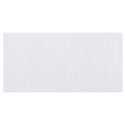 Liquitex Basics Acrylic Fluid Paint - Titanium White swatch
