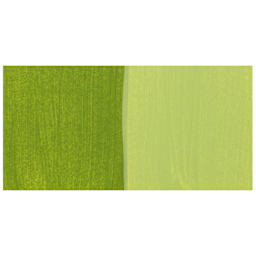 Chroma Craft Colors Acrylic Paint - Fern, swatch only