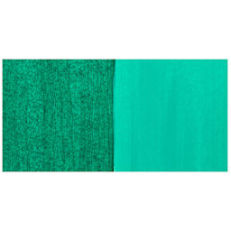 Chroma Craft Colors Acrylic Paint - Shadow Forest, swatch