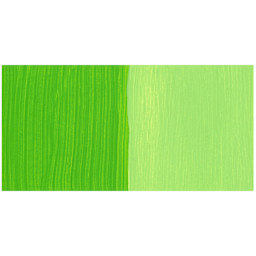 FolkArt Multi-Surface Acrylic Paint - Lime Green swatch