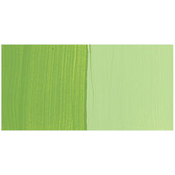 FolkArt Multi-Surface Acrylic Paint - Fresh Foliage swatch