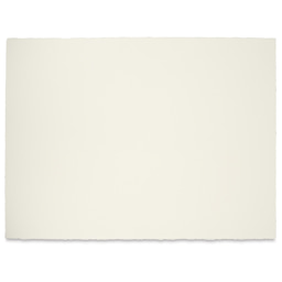 Blick Premier Watercolor Paper - 22" x 30", Cold Press, 140 lb, Pkg of 5 Sheets