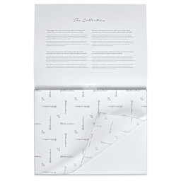 Hahnemühle The Collection Watercolor Block - Rough, 11.8" x 15.7", 140 lb, 10 Sheets cover sheet on block