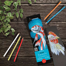 Hahnemühle Black Mixed Media Bookmark Pad with colored pencils and sketch