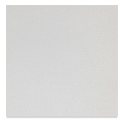 Evolon AP Paper - 8-1/2" x 11", 98 gsm, Pkg of 15 Sheets