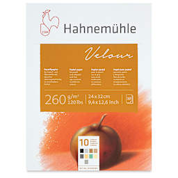 Hahnemuhle Velour Papers - 9-2/5" x 12-3/5", Assorted Colors, 10 Sheets