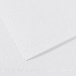 Canson Mi-Teintes Drawing Paper- 19" x 25", White, Single Sheet