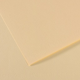 Canson Mi-Teintes Drawing Paper - 19" x 25", Ivory, Single Sheet