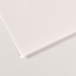 Canson Mi-Teintes Drawing Paper - 19" x 25", Cloud White, Single Sheet