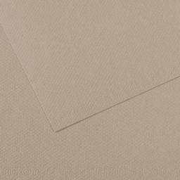 Canson Mi-Teintes Drawing Paper - 19" x 25", Flannel Gray, Single Sheet