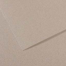 Canson Mi-Teintes Drawing Paper - 19" x 25", Moonstone, Single Sheet