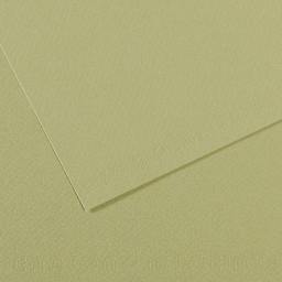 Canson Mi-Teintes Drawing Paper - 19" x 25", Light Green, Single Sheet