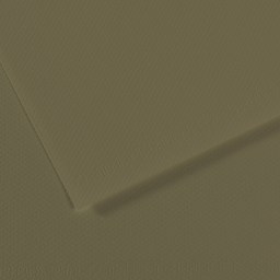 Canson Mi-Teintes Drawing Paper - 19" x 25", Olive Green, Single Sheet