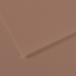 Canson Mi-Teintes Drawing Paper - 19" x 25", Chestnut Brown, Single Sheet
