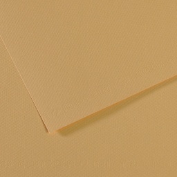 Canson Mi-Teintes Drawing Paper - 19" x 25", Oyster, Single Sheet