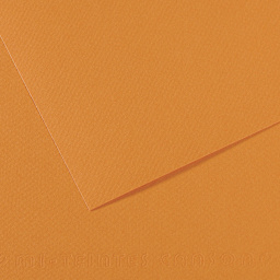 Canson Mi-Teintes Drawing Paper - 19" x 25", Buff, Single Sheet