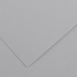 Canson Colorline Art Paper - 19" x 25", 300 gsm, Light Gray