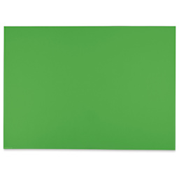 Blick Premium Colored Art Paper - 19-1/2" x 27-1/2", Green, Single Sheet