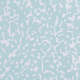 Fadeless Schoolgirl Style Bulletin Paper - Sophomore Year